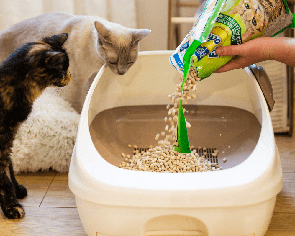 Ezi-LockOdour Dual Layer Litter System